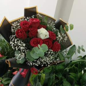 Kırmızı Güller İçinde Tek Beyaz Gül