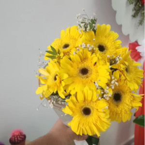 Sarı Gerberalar