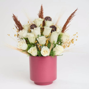 Saksıda Beyaz Güller