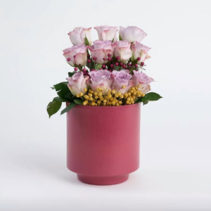 Saksıda Lila Güller